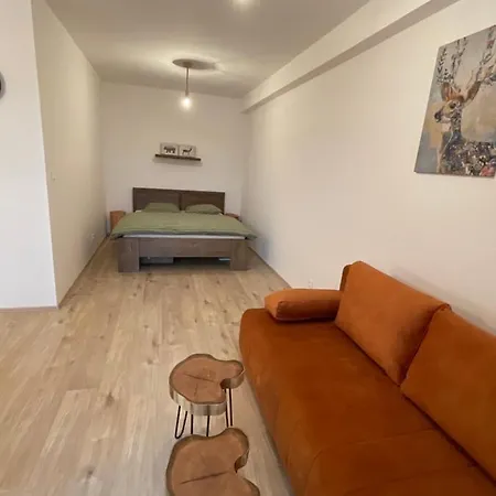 Apartment Utulny Jednopokojovy V Alpskem Stylu Na Klinovci